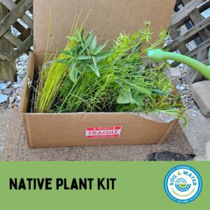 Rain Garden Kit | Fall 2025